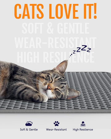 Embrace a Clean Home and Happy Cat!